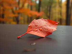 Jak zostać notariuszem? Przewodnik krok po kroku